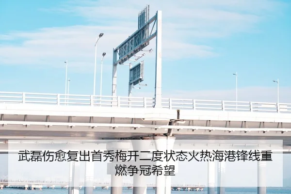 武磊伤愈复出首秀梅开二度状态火热海港锋线重燃争冠希望