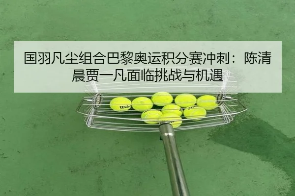 guo-yu-fan-chen-zu-he-ba-li-ao-yun-ji-fen-sai-chong-ci-chen-qing-chen-jia-yi-fan-mian-lin-tiao-zhan-yu-ji-yu-2-231.jpg